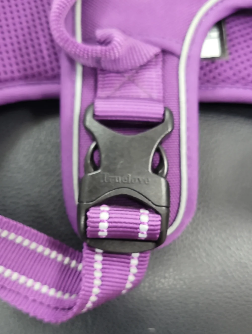 Purple Mesh Dog Harness for Kids Accessories